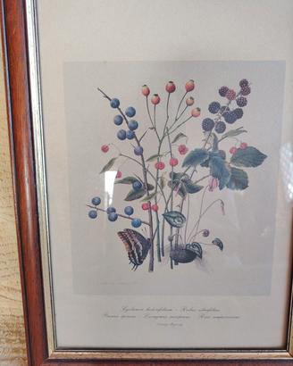 Quadretti arredo € 10,00 cadauno