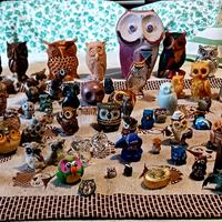 Collezione di civette