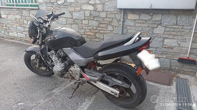 Honda Hornet