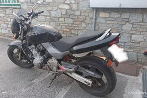 Honda Hornet