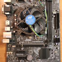 Scheda Madre MSI+Processore i3 8300