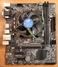 Scheda Madre MSI+Processore i3 8300