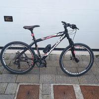 bicicletta Bottecchia