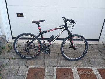 bicicletta Bottecchia