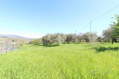 TER. RESIDENZIALE A POGGIO NATIVO