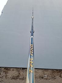 canna  tubertini talaxa 6600