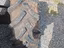 Immagine 6