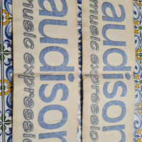 Adesivo Audison grande