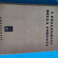 i pellegrini della foresta di Grey Owl 1919