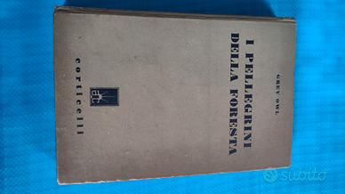 i pellegrini della foresta di Grey Owl 1919