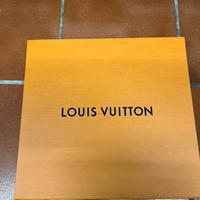 Scatola e busta grandi “Louis Vuitton”