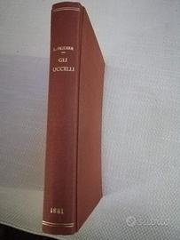 Gli uccelli 1881 di Luigi Figuier
