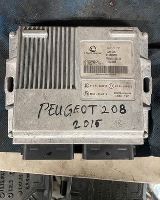 Centralina GPL Peugeot 208 616065000