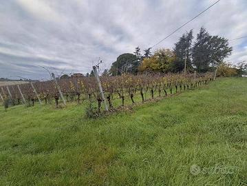 Immobile in asta di 111263 m² a Imola