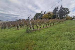 Immobile in asta di 111263 m² a Imola