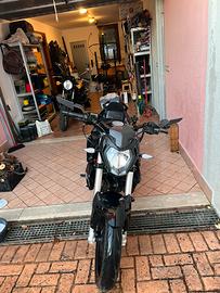 Benelli BN 125 2022