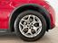 Immagine 7