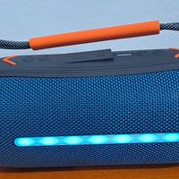 Cassa Bluetooth / Altoparlante Bluetooth