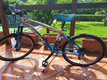 bicicletta