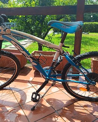 bicicletta