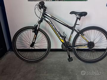 Bicicletta mountain bike
