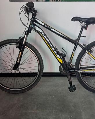 Bicicletta mountain bike