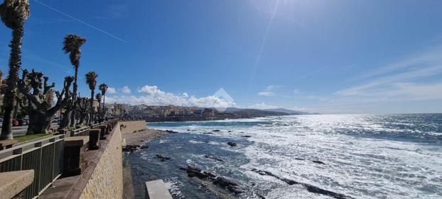 ATTIVITÀ A ALGHERO