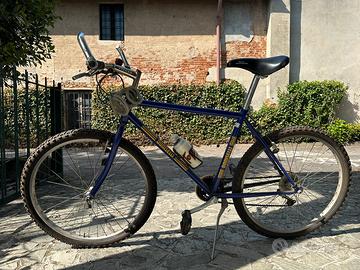 Bici Mountain bike Doniselli