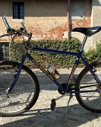 Bici Mountain bike Doniselli
