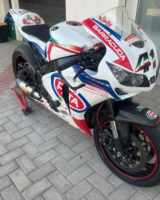 Honda CBR 1000RR 2009 pista e stradale