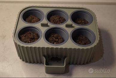 Semenzaio auto irrigante 