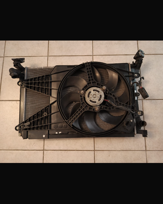 Radiatore 500 Abarth