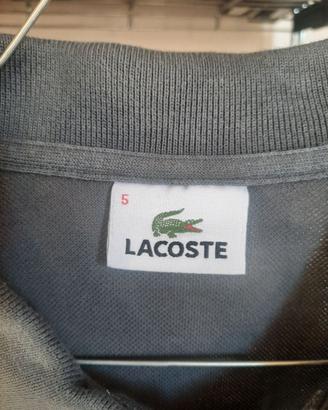 Polo Lacoste grigia, manica lunga, taglia 5