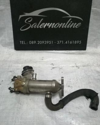 Scambiatore acqua Smart 451 2013