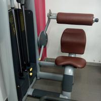 LOWER BACK TECHNOGYM LINEA SELECTION