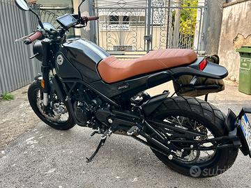 Benelli leoncino trial