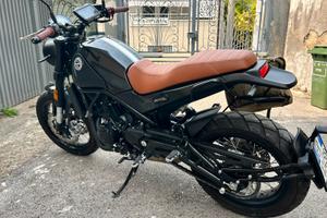 Benelli leoncino trial