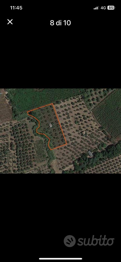 Terreno località Pezze di Ninfa (Cori) - Vista 4