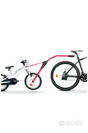 Traino perruzzo angel trail