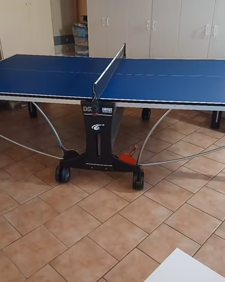 tavolo ping pong 