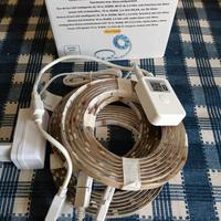 strip led rgbw Amazon alexa