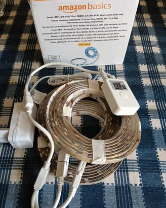 strip led rgbw Amazon alexa