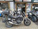 benelli-leoncino-500-