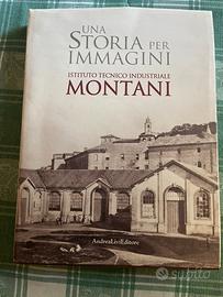 Storia del Montani