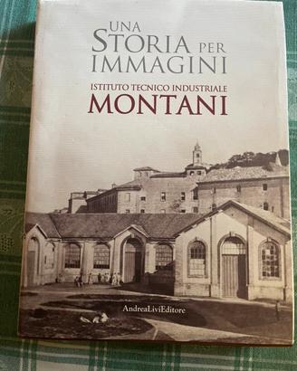 Storia del Montani