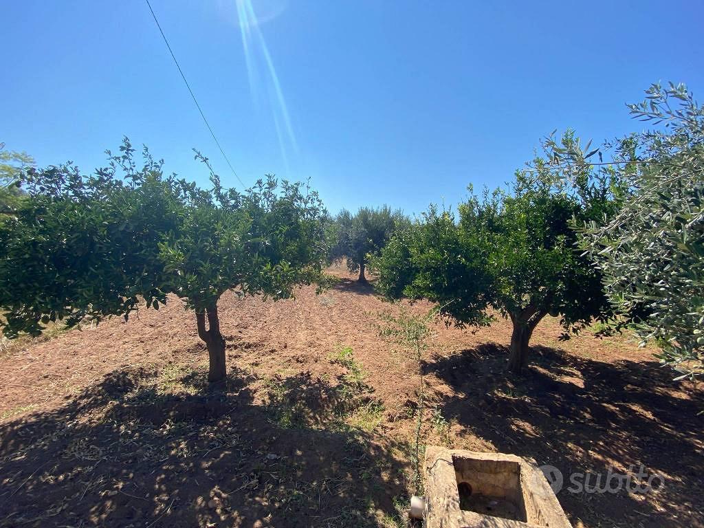 Terreno di 1680 m² a Terrasini - Altro