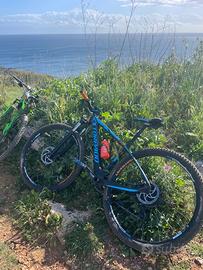 MTB CARBONIO 29 TORPADO RIBOT N