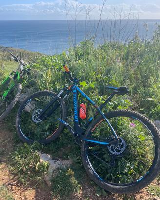 MTB CARBONIO 29 TORPADO RIBOT N