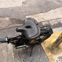 Bici pedalata assistita