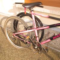 Bicicletta mountain bike Bianchi serie ragno